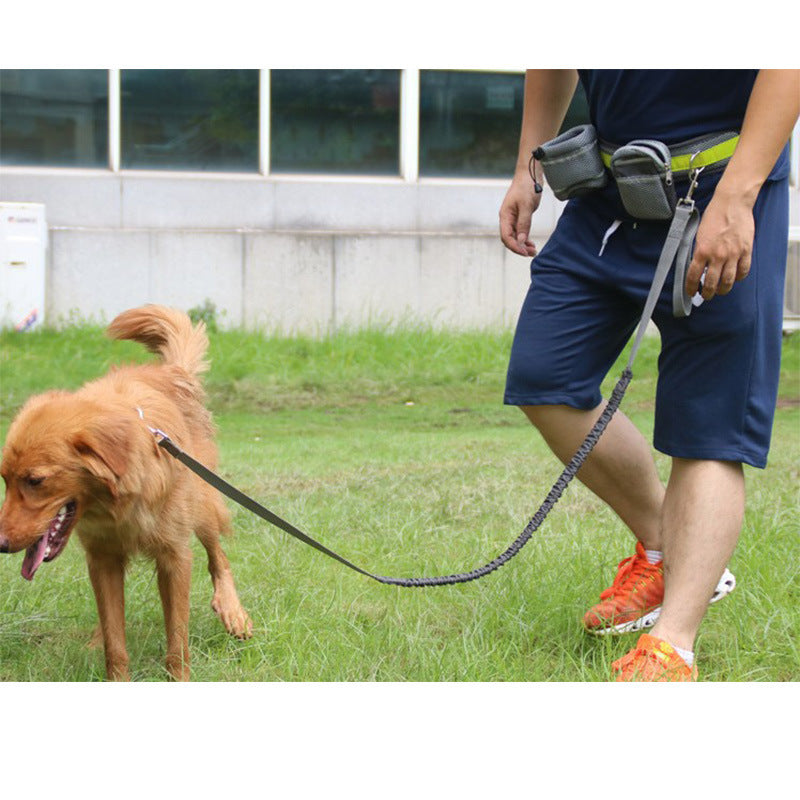 Adjustable Hands Free Dog Leash - Horizon Good