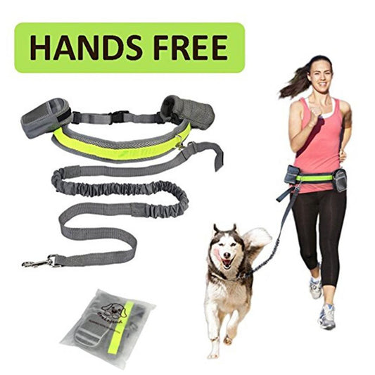 Adjustable Hands Free Dog Leash - Horizon Good