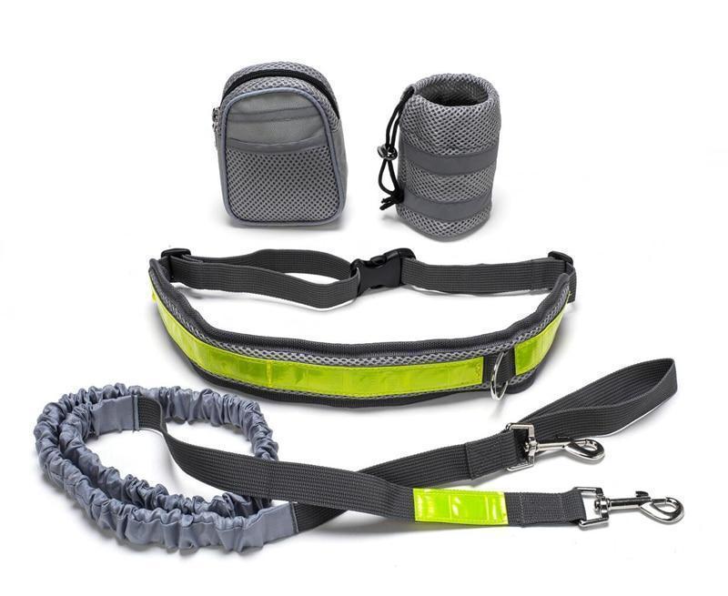 Adjustable Hands Free Dog Leash - Horizon Good