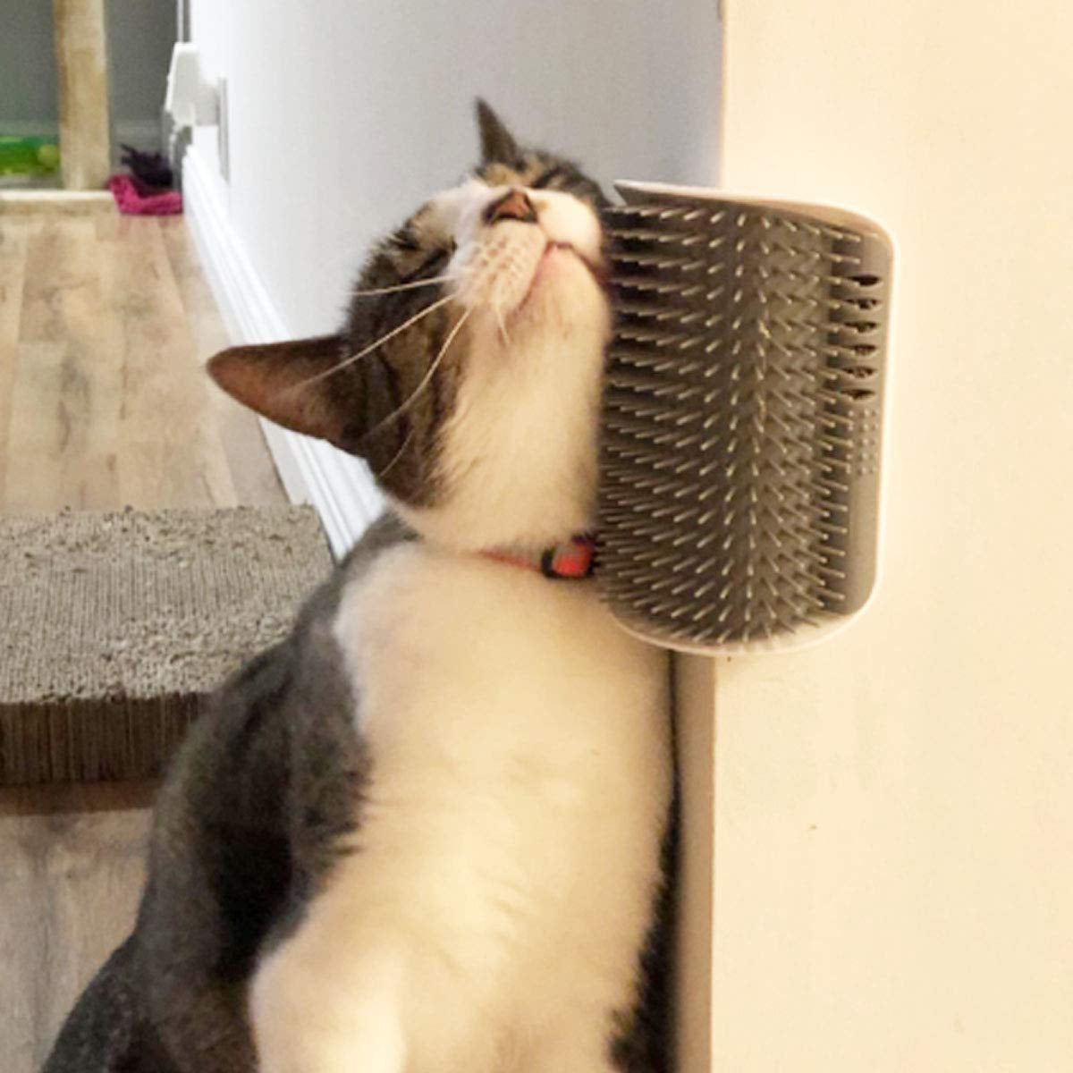 2 Pack Softer Self Groomer with Catnip Wall Corner Massage Comb Scratcher Grooming Brush Tool for Long & Short Fur Kitten Cats Dogs
