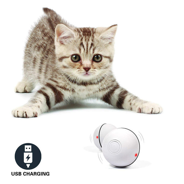 Magic LED Cat Play Ball